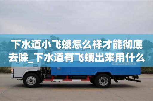 北京下水道小飞蛾怎么样才能彻底去除_下水道有飞蛾出来用什么治