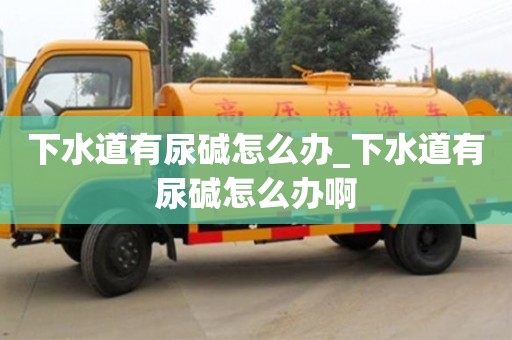 唐山下水道有尿碱怎么办_下水道有尿碱怎么办啊