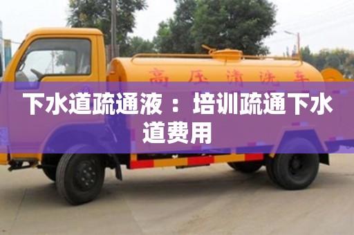 广州下水道疏通液 ：培训疏通下水道费用