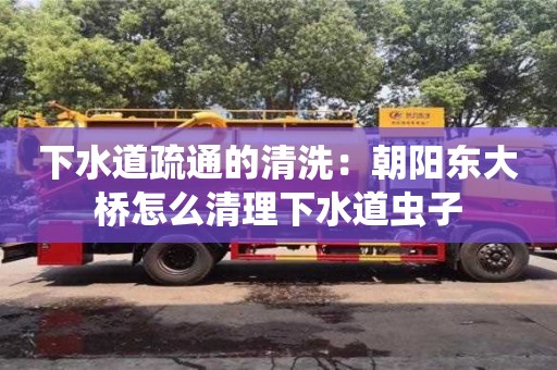 下水道疏通的清洗：朝阳东大桥怎么清理下水道虫子