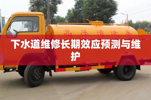 下水道维修长期效应预测与维护