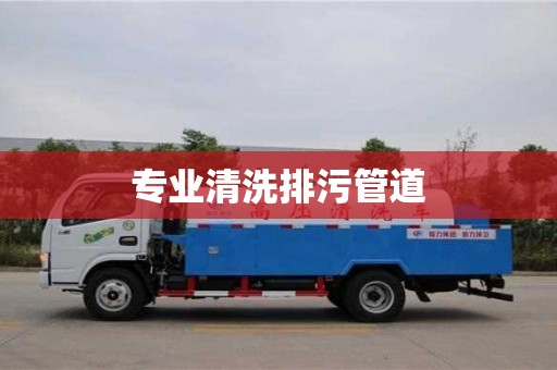 专业清洗排污管道