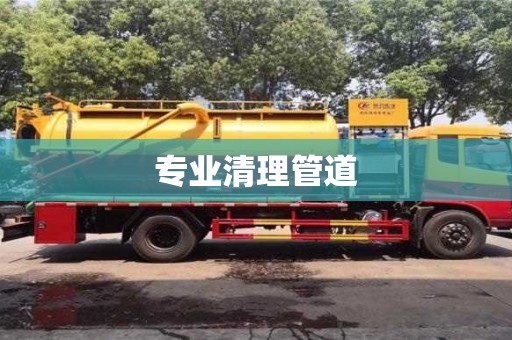 上海专业清理管道
