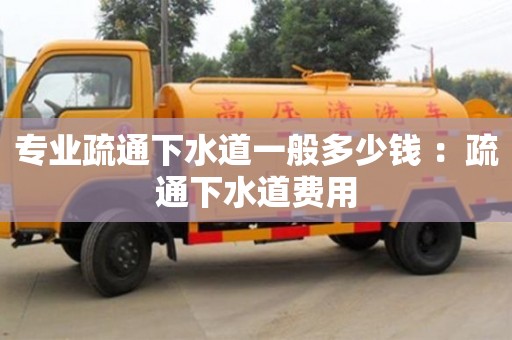 唐山专业疏通下水道一般多少钱 ：疏通下水道费用