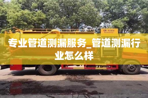 专业管道测漏服务_管道测漏行业怎么样