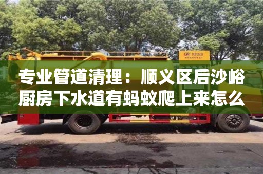 武汉专业管道清理：顺义区后沙峪厨房下水道有蚂蚁爬上来怎么清除