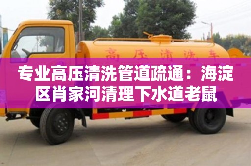 北京专业高压清洗管道疏通：海淀区肖家河清理下水道老鼠