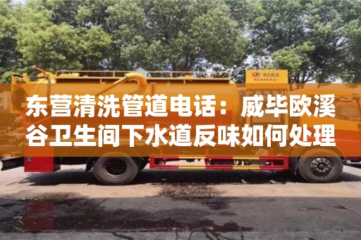 西安东营清洗管道电话：威毕欧溪谷卫生间下水道反味如何处理