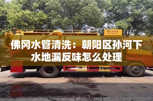 厦门佛冈水管清洗：朝阳区孙河下水地漏反味怎么处理