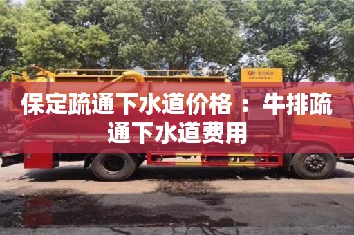 石家庄保定疏通下水道价格 ：牛排疏通下水道费用