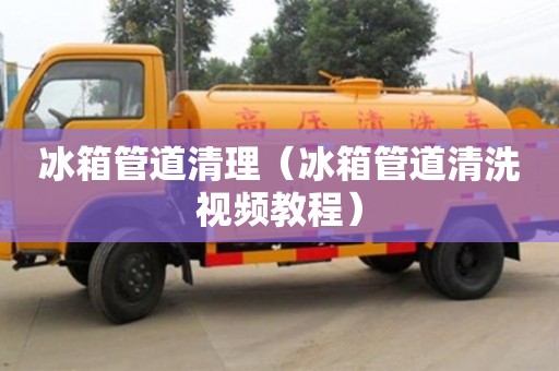 深圳冰箱管道清理（冰箱管道清洗视频教程）