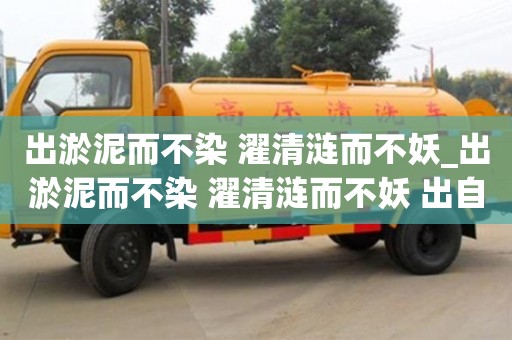 出淤泥而不染 濯清涟而不妖_出淤泥而不染 濯清涟而不妖 出自哪首诗