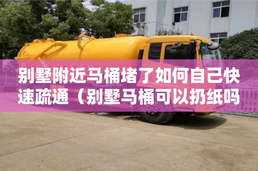 别墅附近马桶堵了如何自己快速疏通（别墅马桶可以扔纸吗）