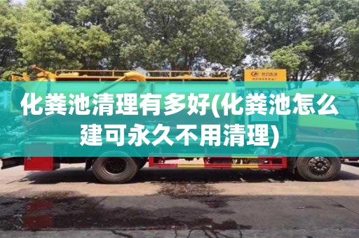 化粪池清理有多好(化粪池怎么建可永久不用清理)