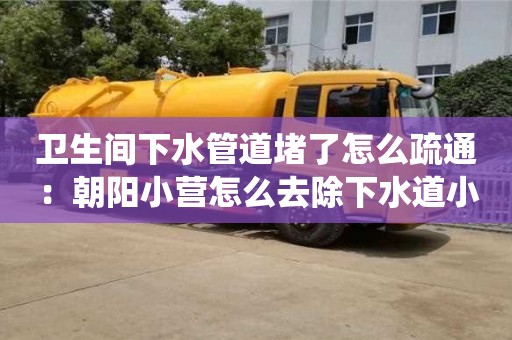 北京卫生间下水管道堵了怎么疏通：朝阳小营怎么去除下水道小红虫