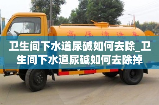 卫生间下水道尿碱如何去除_卫生间下水道尿碱如何去除掉