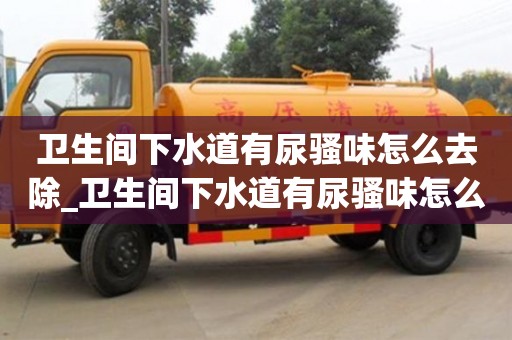 卫生间下水道有尿骚味怎么去除_卫生间下水道有尿骚味怎么去除啊