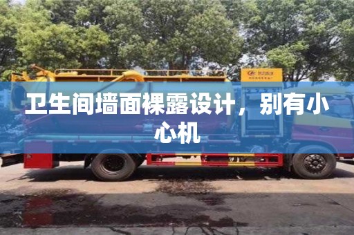 北京卫生间墙面裸露设计，别有小心机