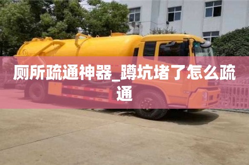 厕所疏通神器_蹲坑堵了怎么疏通
