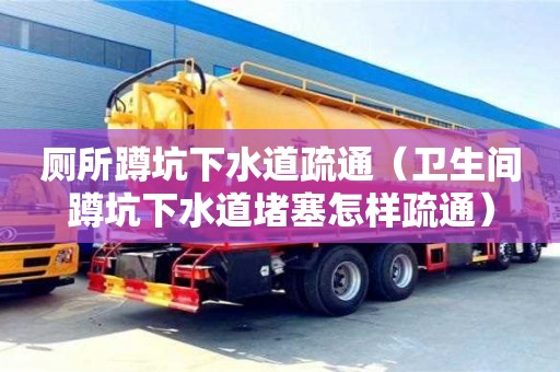 昆明厕所蹲坑下水道疏通（卫生间蹲坑下水道堵塞怎样疏通）