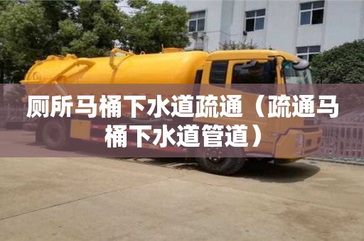厕所马桶下水道疏通（疏通马桶下水道管道）