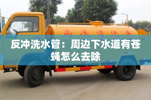 北京反冲洗水管：周边下水道有苍蝇怎么去除