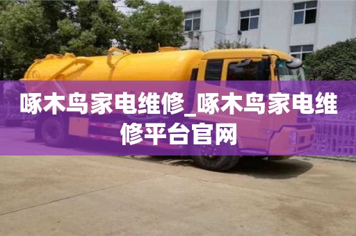 啄木鸟家电维修_啄木鸟家电维修平台官网
