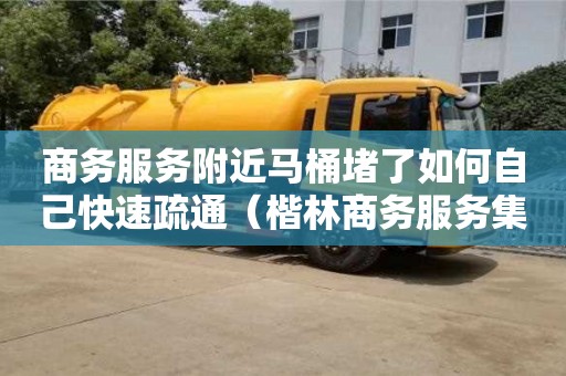 商务服务附近马桶堵了如何自己快速疏通（楷林商务服务集团有限公司）