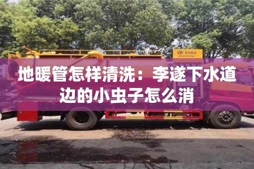 西安地暖管怎样清洗：李遂下水道边的小虫子怎么消