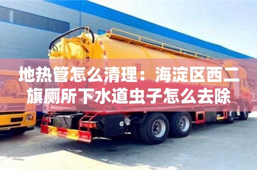 北京地热管怎么清理：海淀区西二旗厕所下水道虫子怎么去除