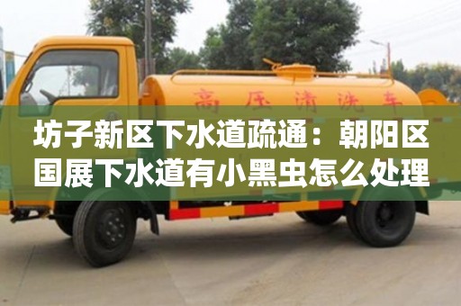 坊子新区下水道疏通：朝阳区国展下水道有小黑虫怎么处理