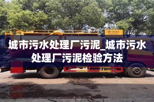 重庆城市污水处理厂污泥_城市污水处理厂污泥检验方法