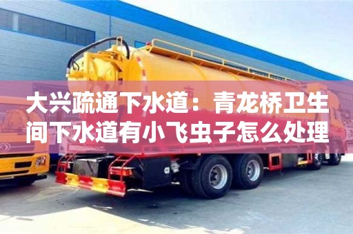 大兴疏通下水道：青龙桥卫生间下水道有小飞虫子怎么处理