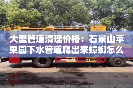 北京大型管道清理价格：石景山苹果园下水管道爬出来蟑螂怎么处理
