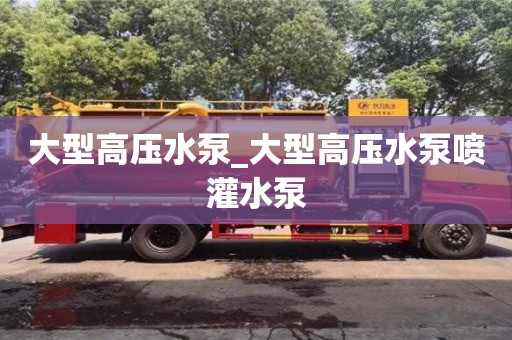 大型高压水泵_大型高压水泵喷灌水泵