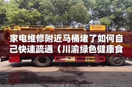 家电维修附近马桶堵了如何自己快速疏通（川渝绿色健康食品荣县产业园）