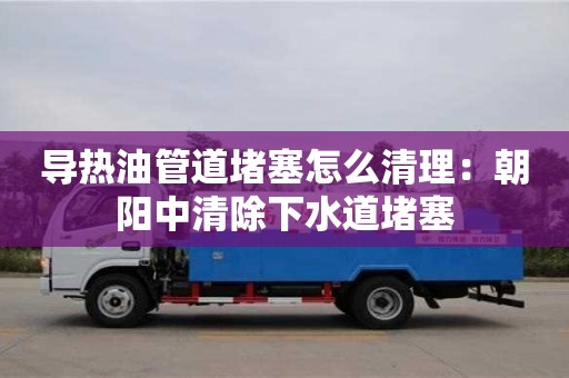 上海导热油管道堵塞怎么清理：朝阳中清除下水道堵塞