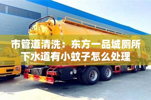 市管道清洗：东方一品城厕所下水道有小蚊子怎么处理