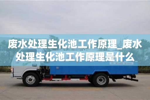 北京废水处理生化池工作原理_废水处理生化池工作原理是什么