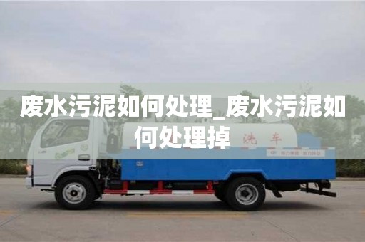 唐山废水污泥如何处理_废水污泥如何处理掉