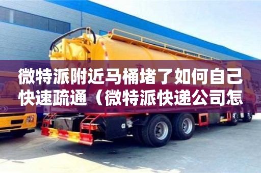 北京微特派附近马桶堵了如何自己快速疏通（微特派快递公司怎么样）