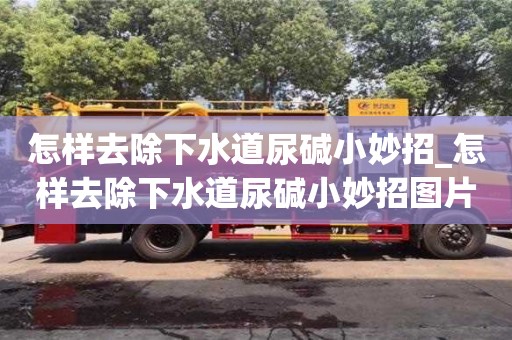 北京怎样去除下水道尿碱小妙招_怎样去除下水道尿碱小妙招图片