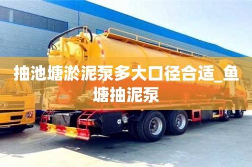 抽池塘淤泥泵多大口径合适_鱼塘抽泥泵