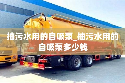 北京抽污水用的自吸泵_抽污水用的自吸泵多少钱