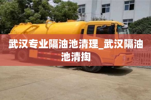 深圳武汉专业隔油池清理_武汉隔油池清掏