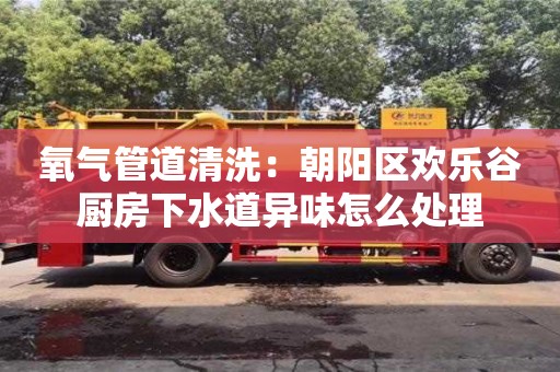 氧气管道清洗：朝阳区欢乐谷厨房下水道异味怎么处理