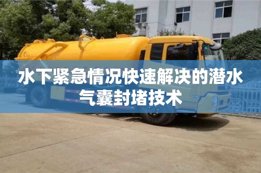 唐山水下紧急情况快速解决的潜水气囊封堵技术