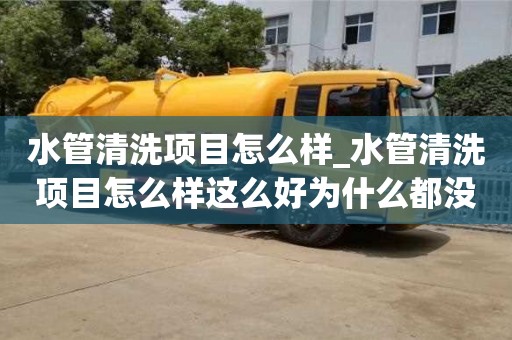 水管清洗项目怎么样_水管清洗项目怎么样这么好为什么都没人做