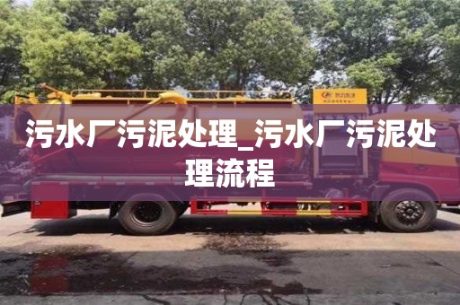 污水厂污泥处理_污水厂污泥处理流程