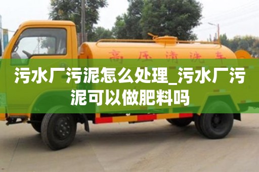 绍兴污水厂污泥怎么处理_污水厂污泥可以做肥料吗